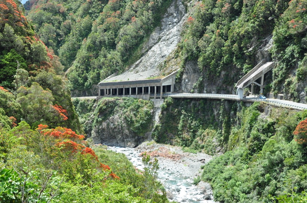 Flowering Rata bushes line the Otira Gorge Road - New Zealand Highway 73, Arthur's Pass National Park.